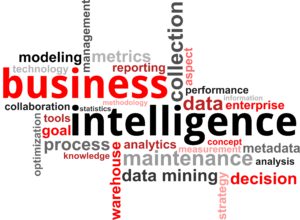 Redice business-intell